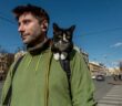 Katze mit Downsyndrom: die Wahrheit hinter den Fotos im Internet ( Foto: Adobe Stock - Daria )