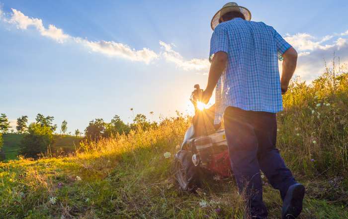 Der Balkenmäher wird vor allem für hohes und langes Gras eingesetzt. ( Foto: Shutterstock - Mirelaro ) 