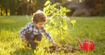 Nachhaltige Geschenke: Das Sonnenglas aus Johannesburg (Foto: AdobeStock 163003597 kegfire)