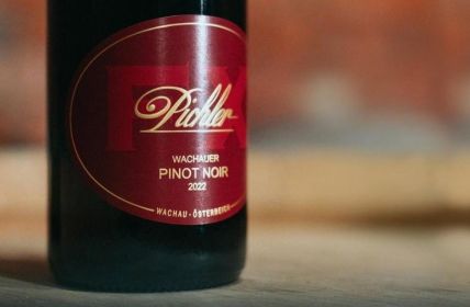 Lucas Pichler präsentiert Wachauer Pinot Noir auf Weinmesse (Foto: Co Merz)