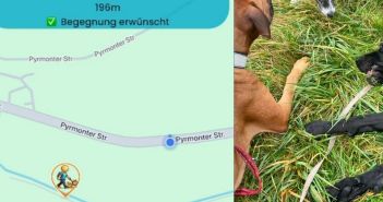 Fernschnauze-App macht Hundebegegnungen transparent, planbar und stressfrei für (Foto: Jasmin Pieper/Fernschnauze)