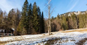 AktivArena beendet organisierten Ski- und Rodelbetrieb am Kolben (Foto: AdobeStock - Iurii - 680583811)